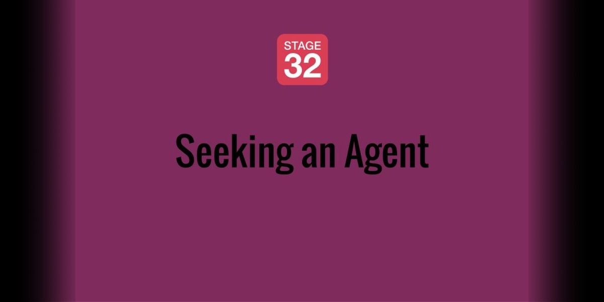 Seeking an Agent