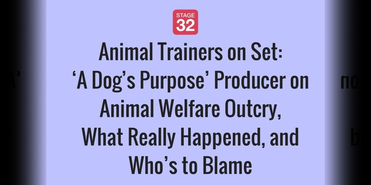 ‘A Dog’s Purpose’ Producer on Animal Welfare Outcry, What Really Happened, and Who’s to Blame