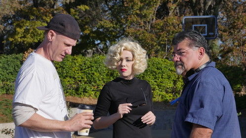 The Marilyn Death Dimension - our mini-series idea, looking for partners