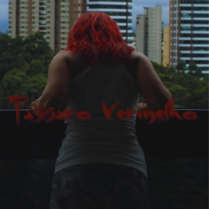 Pássaro Vermelho (Red Bird)