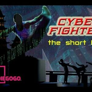 Cyber Fighter